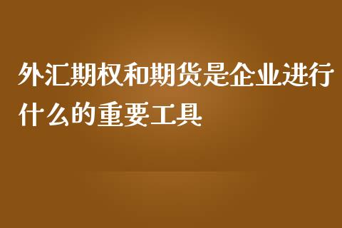 外汇期权和期货是企业进行什么的重要工具_https://m.fansifence.com_公募基金_第1张