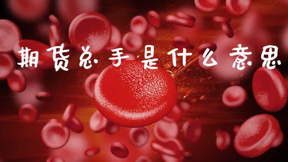 期货总手是什么意思_https://m.fansifence.com_公募基金_第1张