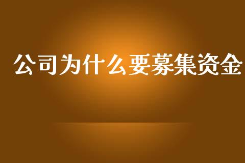 公司为什么要募集资金_https://m.fansifence.com_公募基金_第1张