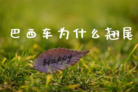 巴西车为什么翘尾_https://m.fansifence.com_个股行情_第1张