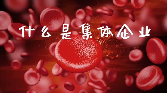 什么是集体企业_https://m.fansifence.com_消费金融_第1张