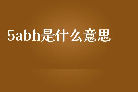 5abh是什么意思_https://m.fansifence.com_公募基金_第1张