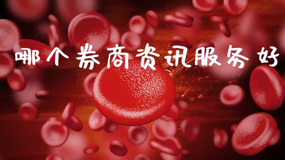 哪个券商资讯服务好_https://m.fansifence.com_个股行情_第1张