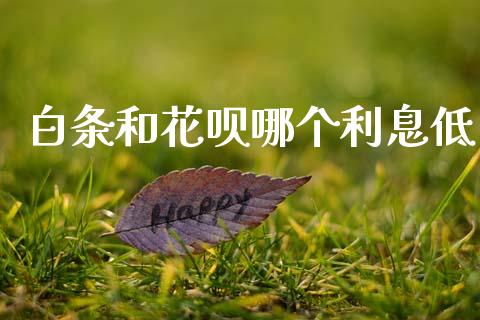 白条和花呗哪个利息低_https://m.fansifence.com_公募基金_第1张