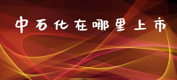 中石化在哪里上市_https://m.fansifence.com_消费金融_第1张