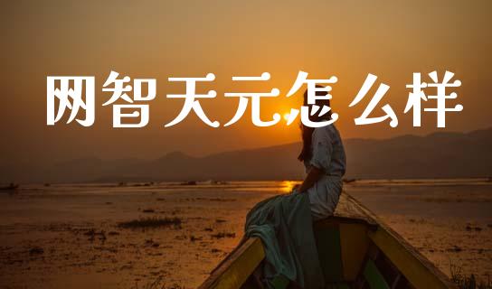 网智天元怎么样_https://m.fansifence.com_消费金融_第1张