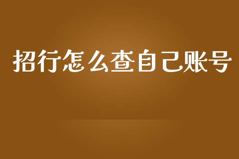 招行怎么查自己账号_https://m.fansifence.com_消费金融_第1张