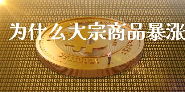 为什么大宗商品暴涨_https://m.fansifence.com_公募基金_第1张