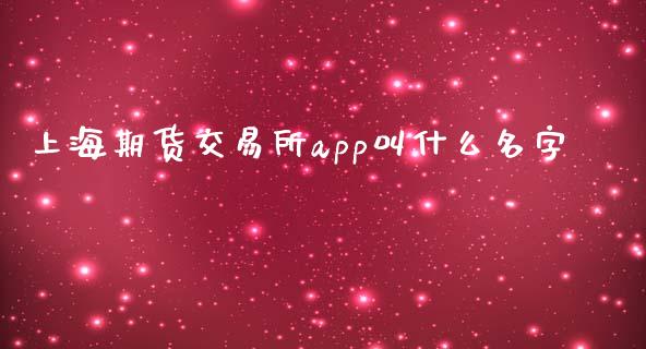 上海期货交易所app叫什么名字_https://m.fansifence.com_公募基金_第1张