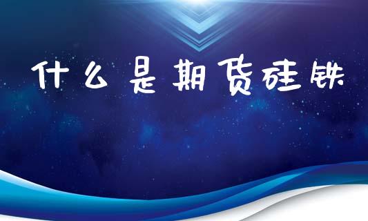 什么是期货硅铁_https://m.fansifence.com_贵金属行情_第1张