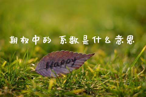 期权中的 系数是什么意思_https://m.fansifence.com_贵金属行情_第1张