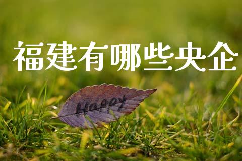福建有哪些央企_https://m.fansifence.com_贵金属行情_第1张