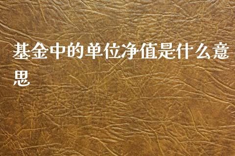 基金中的单位净值是什么意思_https://m.fansifence.com_个股行情_第1张