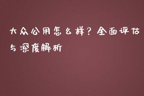 大众公用怎么样？全面评估与深度解析_https://m.fansifence.com_消费金融_第1张