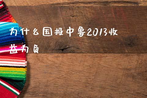 为什么国投中鲁2013收益为负_https://m.fansifence.com_贵金属行情_第1张