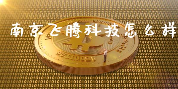 南京飞腾科技怎么样_https://m.fansifence.com_公募基金_第1张