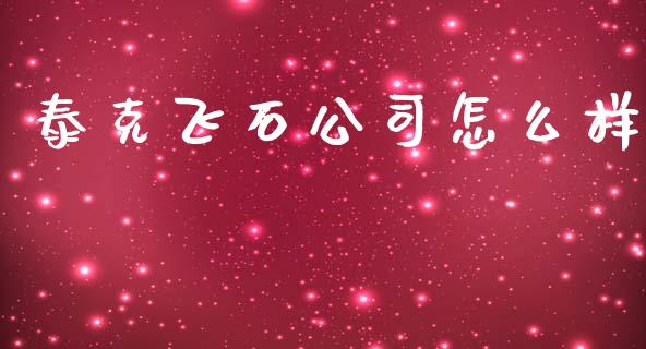 泰克飞石公司怎么样_https://m.fansifence.com_个股行情_第1张