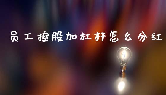员工控股加杠杆怎么分红_https://m.fansifence.com_公募基金_第1张