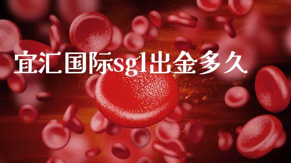 宜汇国际sgl出金多久_https://m.fansifence.com_个股行情_第1张
