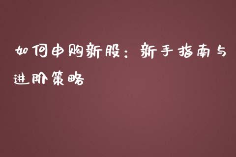 如何申购新股：新手指南与进阶策略_https://m.fansifence.com_公募基金_第1张
