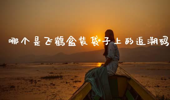 哪个是飞鹤盒装袋子上的追溯码_https://m.fansifence.com_贵金属行情_第1张