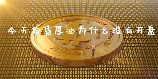 今天期货原油为什么没有开盘_https://m.fansifence.com_贵金属行情_第1张