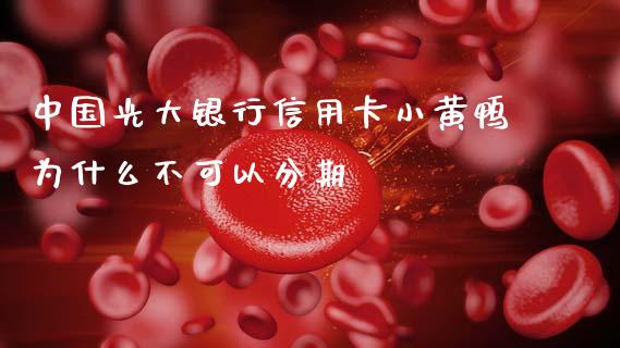 中国光大银行信用卡小黄鸭为什么不可以分期_https://m.fansifence.com_公募基金_第1张