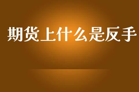 期货上什么是反手_https://m.fansifence.com_消费金融_第1张