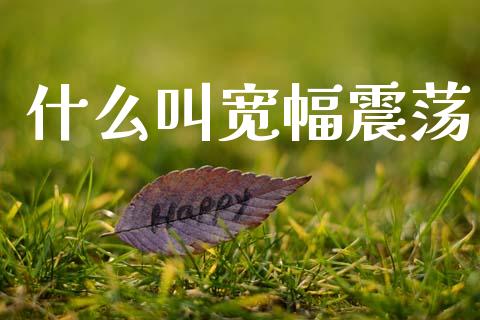 什么叫宽幅震荡_https://m.fansifence.com_个股行情_第1张