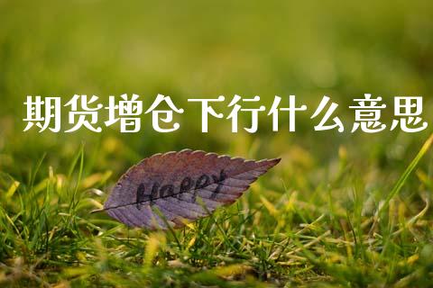 期货增仓下行什么意思_https://m.fansifence.com_消费金融_第1张
