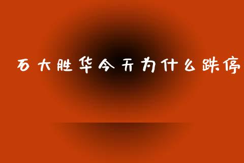 石大胜华今天为什么跌停_https://m.fansifence.com_贵金属行情_第1张