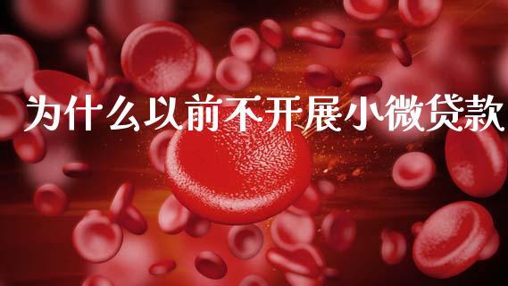 为什么以前不开展小微贷款_https://m.fansifence.com_贵金属行情_第1张