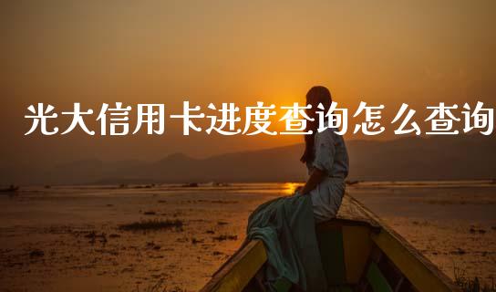 光大信用卡进度查询怎么查询_https://m.fansifence.com_个股行情_第1张