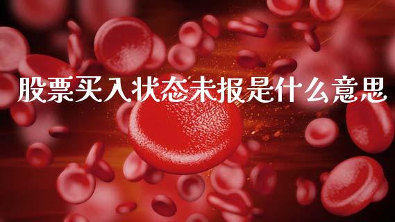 股票买入状态未报是什么意思_https://m.fansifence.com_消费金融_第1张