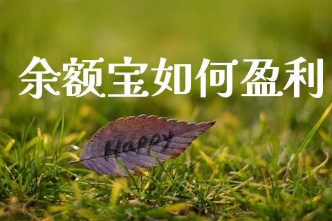 余额宝如何盈利_https://m.fansifence.com_消费金融_第1张