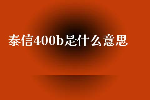 泰信400b是什么意思_https://m.fansifence.com_消费金融_第1张