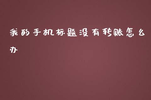 我的手机标题没有转账怎么办_https://m.fansifence.com_贵金属行情_第1张