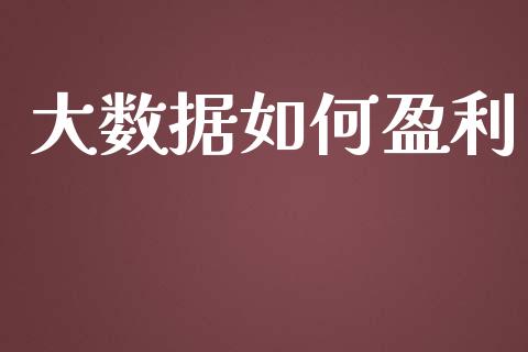 大数据如何盈利_https://m.fansifence.com_消费金融_第1张